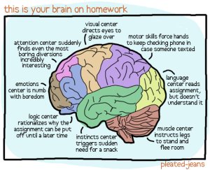 Is the distraction avoidance to homework, or the result of our neural circuits being rewired?